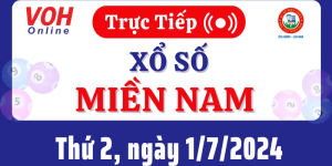 Cách Tra Kết Quả Xổ Số Kiến Thiết Miền Nam